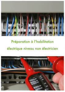 Préparation à l`habilitation électrique niveau non électricien
