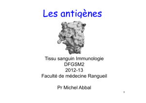 Rangueil Les Antigènes - Facultés de Médecine de Toulouse