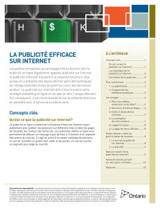 La publicité efficace sur Internet - Réseau ontarien des entrepreneurs