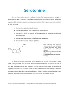 Sérotonine - cloudfront.net