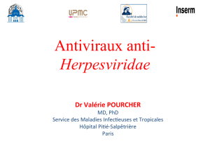 Herpesviridae - Infectiologie