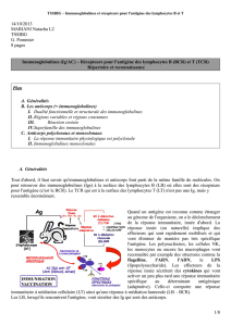 Récepteurs pour l`antigène des lymphocyte