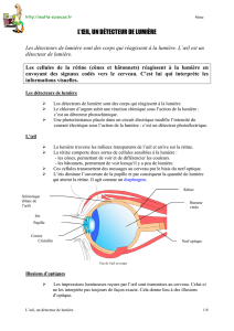 L`oeil, un détecteur de lumière - Maths