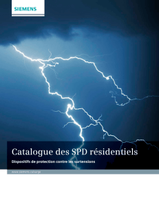 Catalogue des SPD résidentiels
