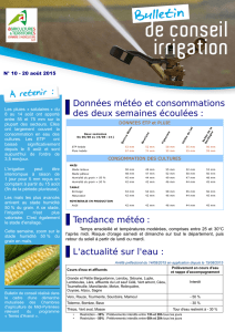 n° 16 - Bulletin irrigation - Chambre d`Agriculture du Lot