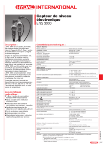Capteur de niveau électronique ENS 3000