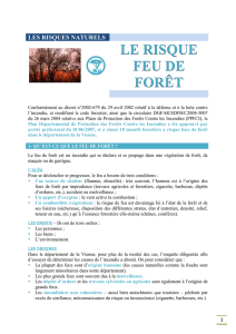 Le risque feu de forêt - Préfecture de la Vienne
