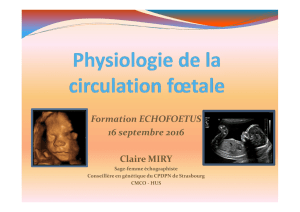 Physiologie circulation foetale - Site du CPDPN Strasbourg Alsace