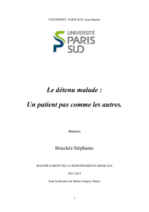 Lire ce mémoire - Université Paris-Sud
