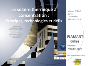 Gilles Flamant-Master ERS