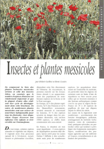 Insectes et plantes messicoles / Insectes n° 104