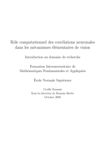 R&ocirc;le computationnel des corr&eacute;lations neuronales dans les