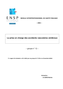 La prise en charge des accidents vasculaires cérébraux