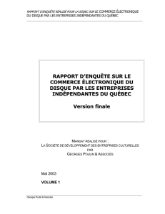 RAPPORT D`ENQUÊTE SUR LE COMMERCE ÉLECTRONIQUE DU