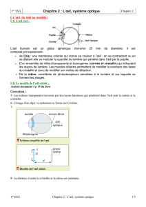 Chapitre 2 : L`œil, système optique