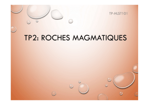 TP2_Les roches magmatiques