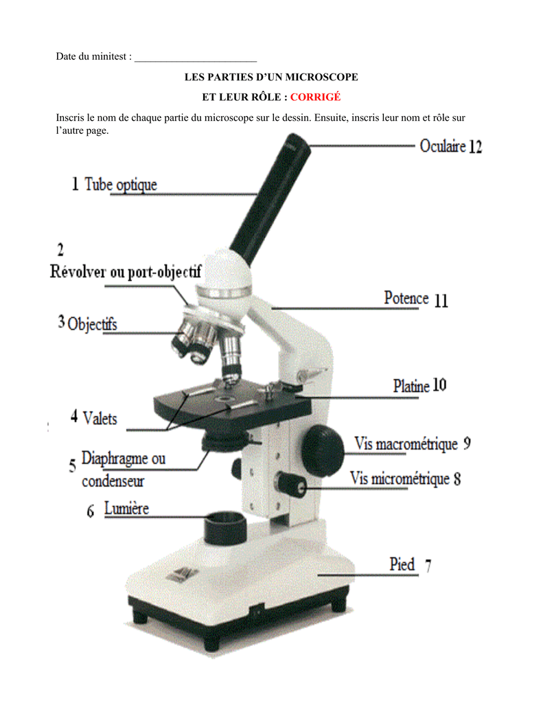 Principe Fonctionnement Microscope Optique SMYPZ