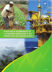 ETUDE SUR LA VULNERABILITE DE L`ECONOMIE CONGOLAISE