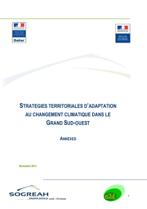 Etude_MEDCIE_GSO_Annexes