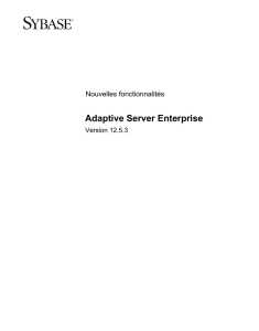 Adaptive Server Enterprise