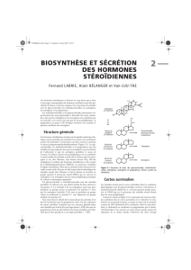 biosynthèse et sécrétion des hormones stéroïdiennes