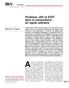 Protéines JAK et STAT dans la transmission du signal cellulaire