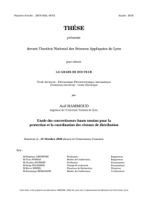 Etude des convertisseurs haute tension pour la