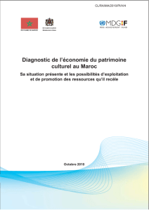 Diagnostic de l`&eacute;conomie du patrimoine culturel au Maroc: sa
