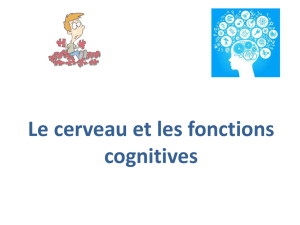 Le cerveau et les fonctions cognitives - Académie de Nancy-Metz