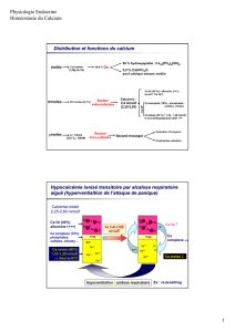 Physiologie Endocrine Homéostasie du Calcium 1