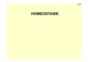 Homéostasie [Mode de compatibilité]