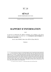 Le rapport au format pdf