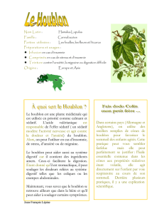 Le houblon est une plante médicinale qui est utilisée en priorité