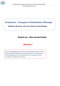 Production - Transport et Distribution d`Energie