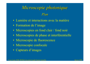 Microscopie photonique - TIMC-IMAG