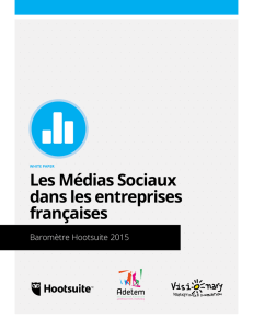 Les Médias Sociaux dans les entreprises françaises