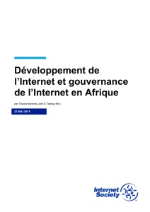 Développement de l`Internet et gouvernance de l