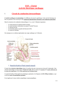 p2-ue5-clerici-anat-cardiaque-et-act-electrique-pdf