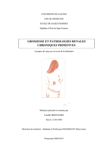 grossesse et pathologies renales chroniques primitives