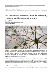 Des nouveaux neurones pour la mémoire, contre le vieillissement et