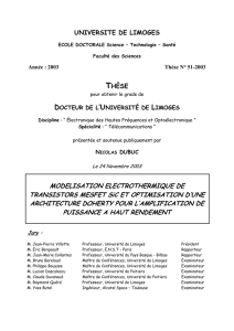 Modelisation electrothermique de transistors mesfet sic et