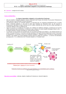 La réponse immunitaire adaptative et la production d`anticorps. La