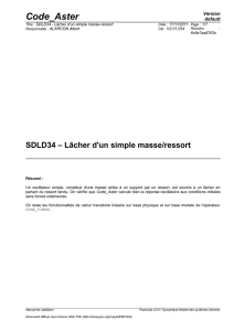 SDLD34 - Lâcher d`un simple masse-ressort