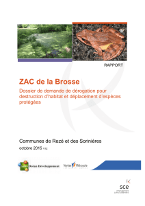 ZAC de la Brosse - Préfecture de Loire