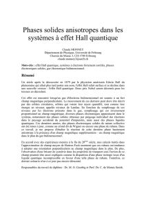 Phases solides anisotropes dans les systèmes à effet Hall