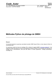 Méthodes Python de pilotage de GMSH