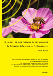 des abeilles, des oiseaux et des hommes - Next-up