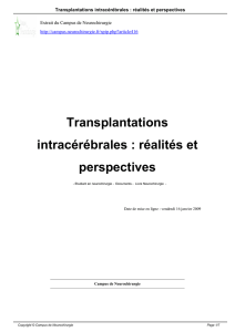 Transplantations intracérébrales : réalités et perspectives