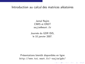 "Introduction au calcul des matrices aléatoires" (J. Najim, ENST)