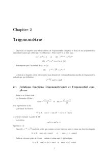 Trigonométrie - Martin DEL HIERRO